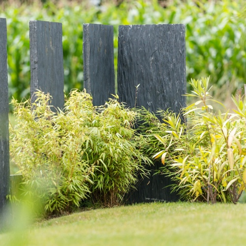 Plantations et espaces verts par Vauthelin paysages, paysagiste Brest, Plougastel, Saint-Renan, Lesneven, Crozon