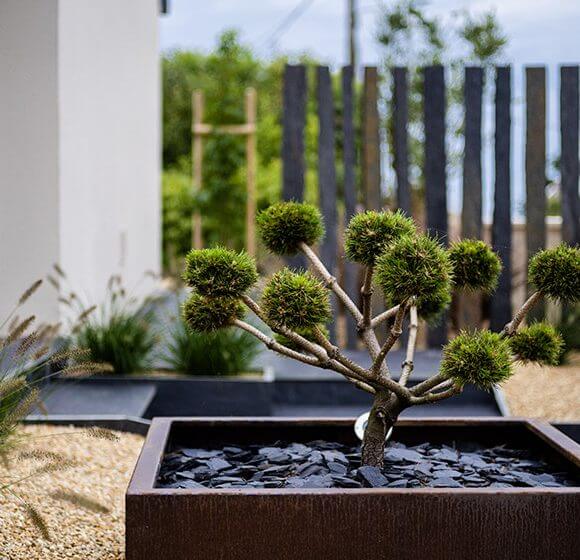 Poterie et bonzai Vauthelin paysage